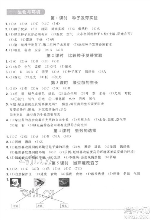 江西教育出版社2023阳光同学课时优化作业五年级科学下册教科版参考答案 江西教育出版社2023阳光同学课时优化作业五年级科学下册教科版参考答案