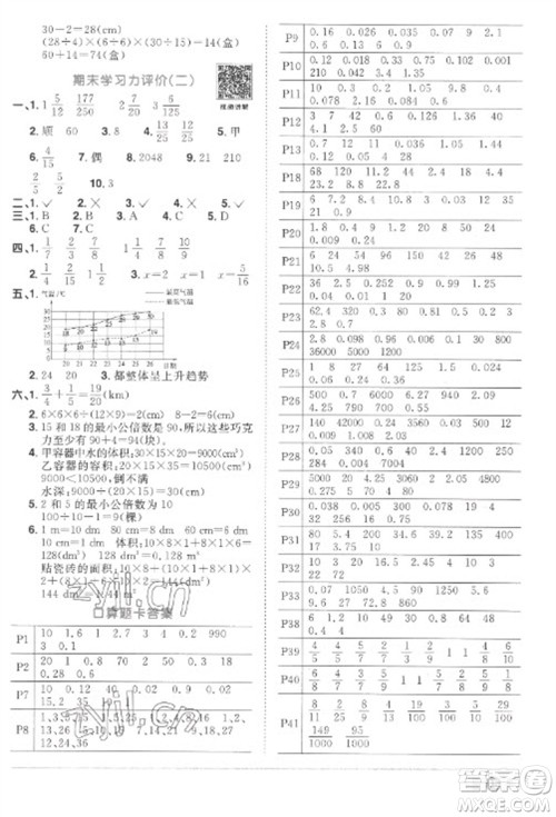 江西教育出版社2023阳光同学课时优化作业五年级数学下册人教版菏泽专版参考答案