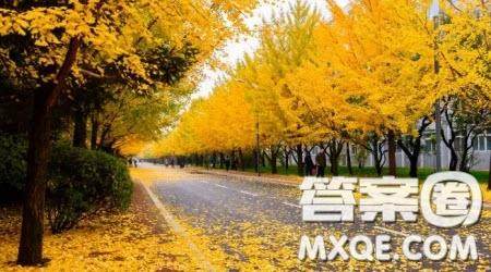 写枫叶主题作文600字 关于写枫叶的主题作文600字 写枫叶主题作文600字 关于写枫叶的主题作文600字