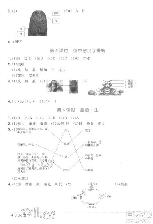 江西教育出版社2023阳光同学课时优化作业三年级科学下册教科版参考答案 江西教育出版社2023阳光同学课时优化作业三年级科学下册教科版参考答案