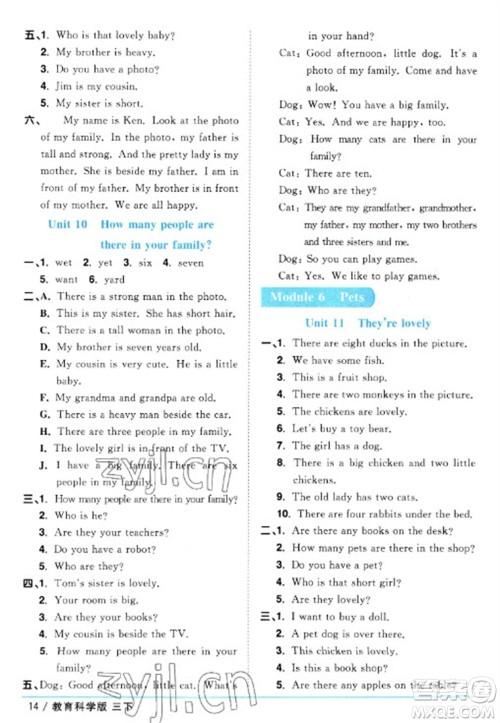 江西教育出版社2023阳光同学课时优化作业三年级英语下册教育科学版参考答案 江西教育出版社2023阳光同学课时优化作业三年级英语下册教育科学版参考答案