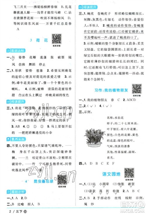 江西教育出版社2023阳光同学课时优化作业三年级语文下册人教版五四制参考答案 江西教育出版社2023阳光同学课时优化作业三年级语文下册人教版五四制参考答案