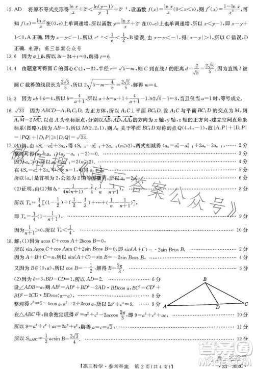 2023河北金太阳高三联考23302C数学试卷答案