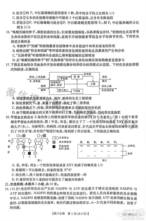 2023河北金太阳高三联考23302C生物试卷答案 2023河北金太阳高三联考23302C生物试卷答案