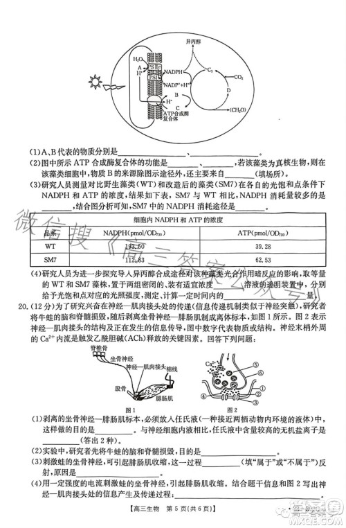 2023河北金太阳高三联考23302C生物试卷答案 2023河北金太阳高三联考23302C生物试卷答案