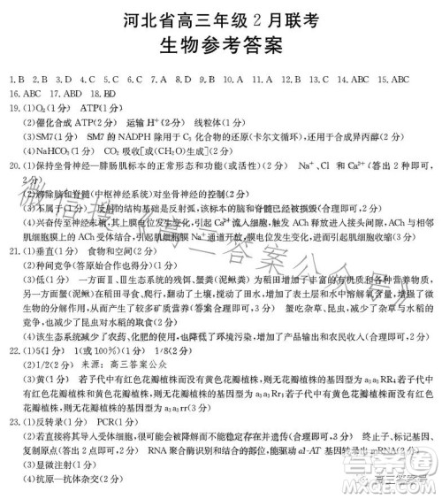 2023河北金太阳高三联考23302C生物试卷答案 2023河北金太阳高三联考23302C生物试卷答案