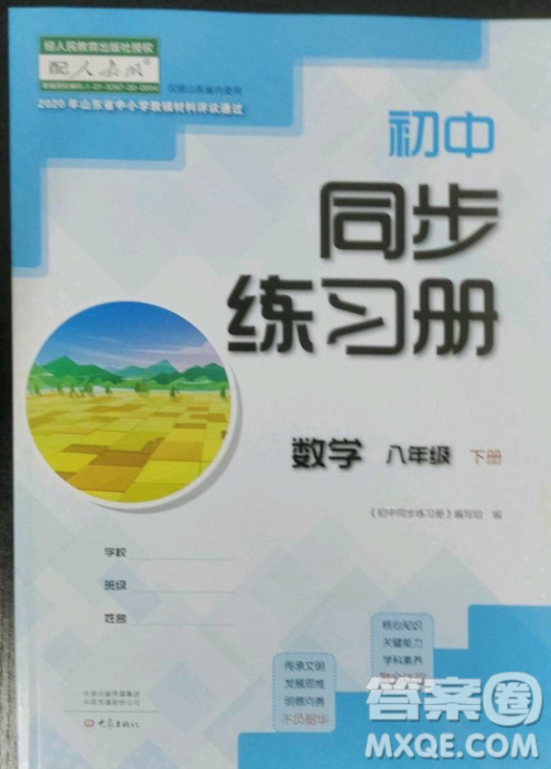 大象出版社2023初中同步练习册八年级下册数学人教版答案 大象出版社2023初中同步练习册八年级下册数学人教版答案