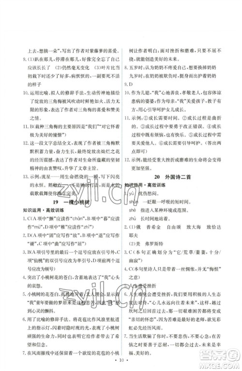 人民教育出版社2023能力培养与测试七年级语文下册人教版湖南专版参考答案