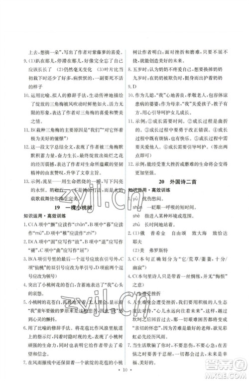 人民教育出版社2023能力培养与测试七年级语文下册人教版湖南专版参考答案