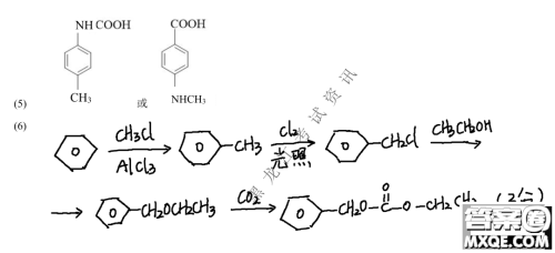 2023届哈九中高三下学期开学考试理综试题答案 2023届哈九中高三下学期开学考试理综试题答案