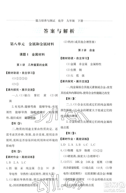 人民教育出版社2023能力培养与测试九年级化学下册人教版参考答案