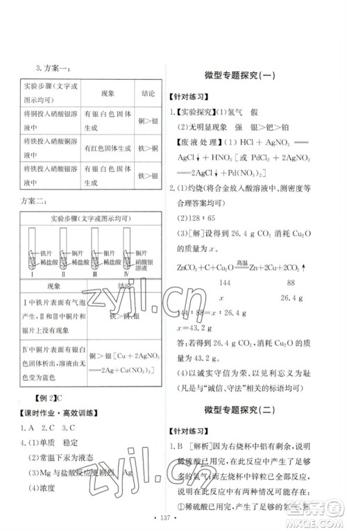 人民教育出版社2023能力培养与测试九年级化学下册人教版参考答案