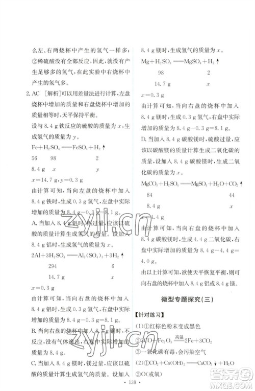 人民教育出版社2023能力培养与测试九年级化学下册人教版参考答案