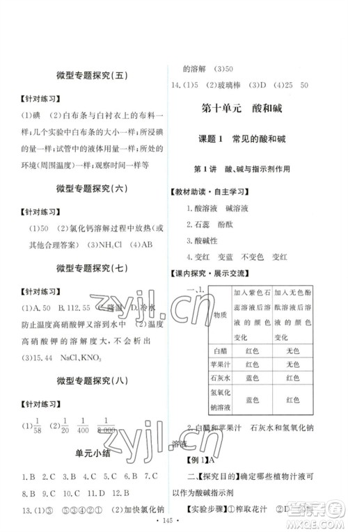 人民教育出版社2023能力培养与测试九年级化学下册人教版参考答案