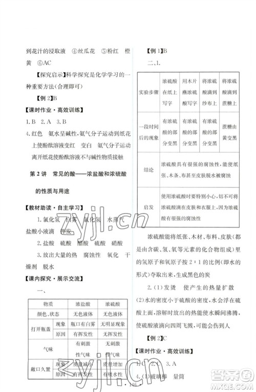 人民教育出版社2023能力培养与测试九年级化学下册人教版参考答案