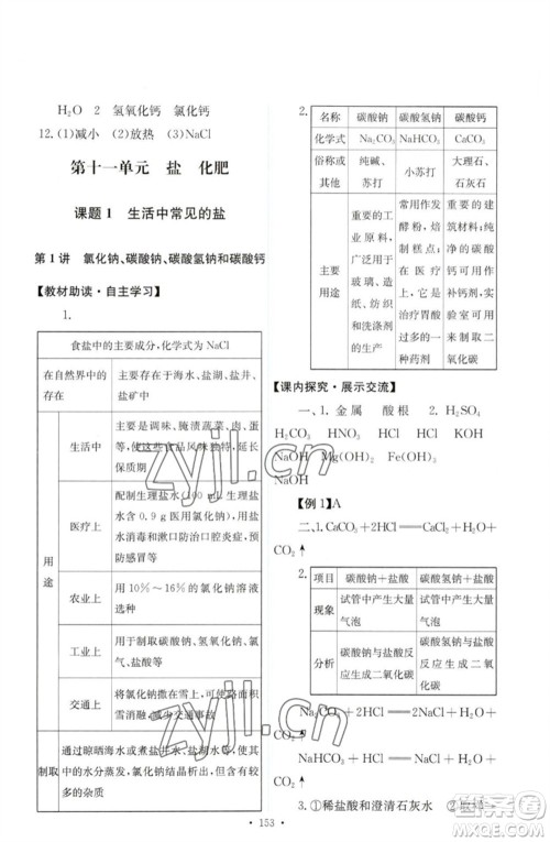 人民教育出版社2023能力培养与测试九年级化学下册人教版参考答案