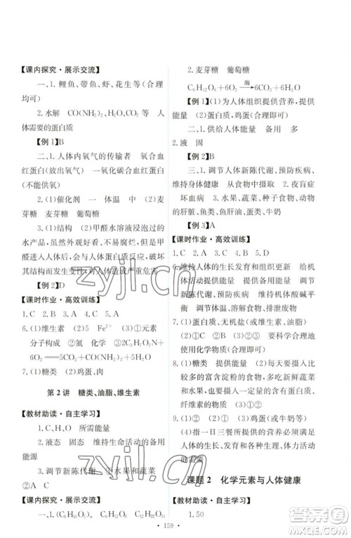 人民教育出版社2023能力培养与测试九年级化学下册人教版参考答案
