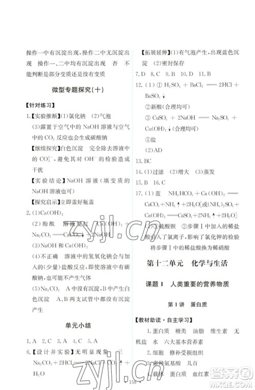 人民教育出版社2023能力培养与测试九年级化学下册人教版参考答案