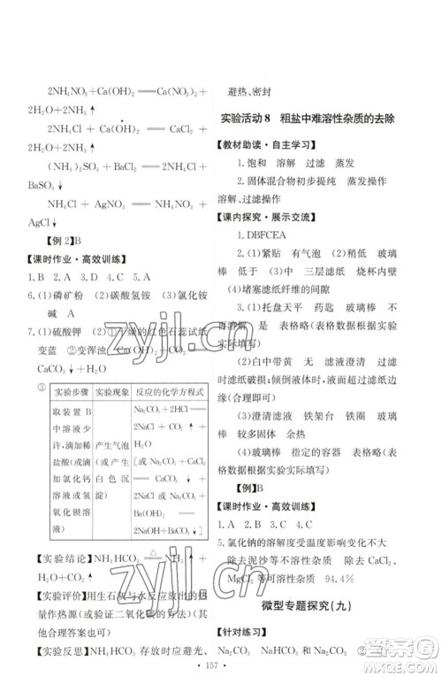 人民教育出版社2023能力培养与测试九年级化学下册人教版参考答案