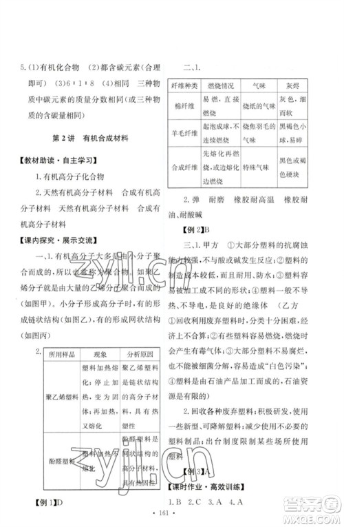 人民教育出版社2023能力培养与测试九年级化学下册人教版参考答案