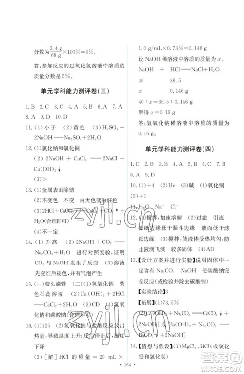 人民教育出版社2023能力培养与测试九年级化学下册人教版参考答案