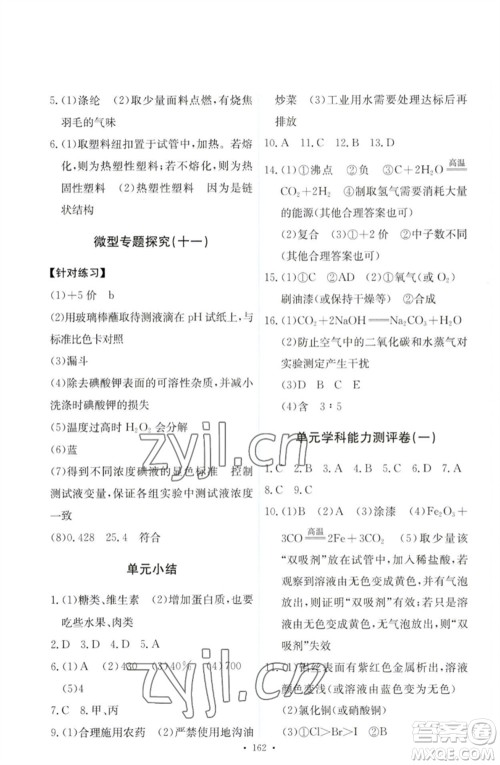 人民教育出版社2023能力培养与测试九年级化学下册人教版参考答案
