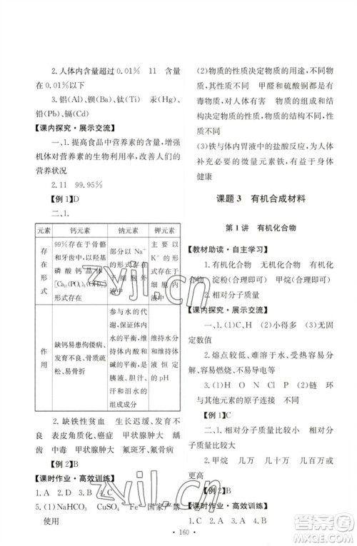 人民教育出版社2023能力培养与测试九年级化学下册人教版参考答案