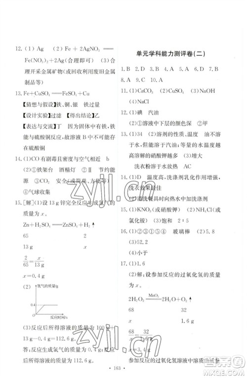 人民教育出版社2023能力培养与测试九年级化学下册人教版参考答案