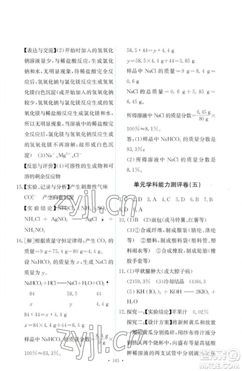 人民教育出版社2023能力培养与测试九年级化学下册人教版参考答案