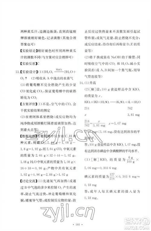 人民教育出版社2023能力培养与测试九年级化学下册人教版参考答案