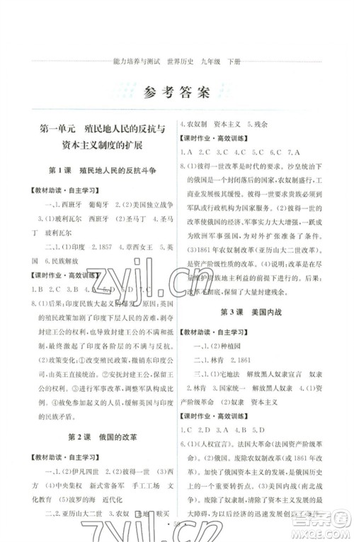 人民教育出版社2023能力培养与测试九年级世界历史下册人教版湖南专版参考答案