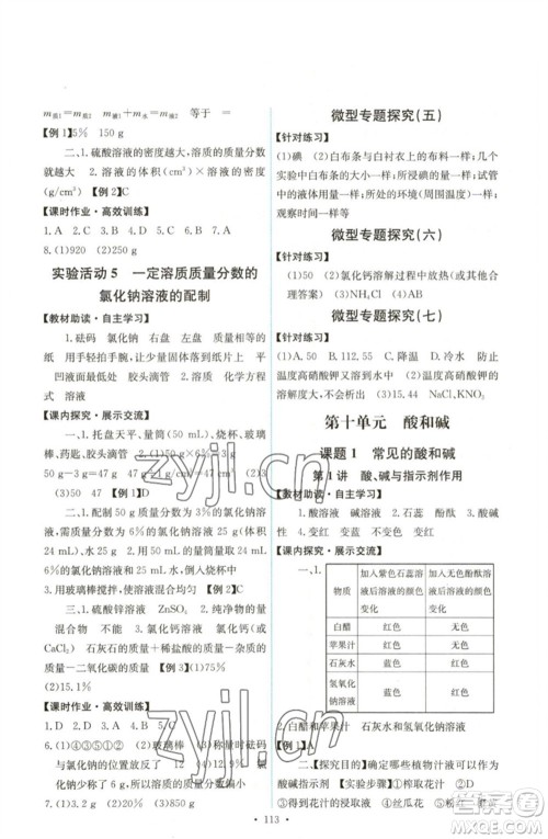 人民教育出版社2023能力培养与测试九年级化学下册人教版湖南专版参考答案