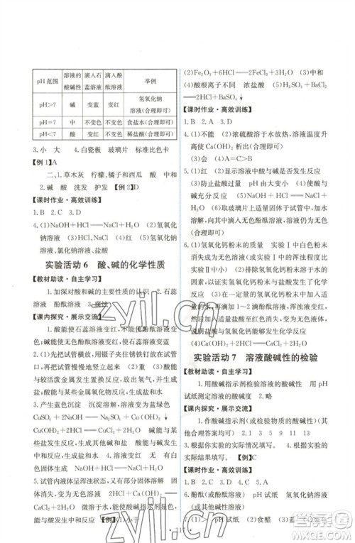 人民教育出版社2023能力培养与测试九年级化学下册人教版湖南专版参考答案