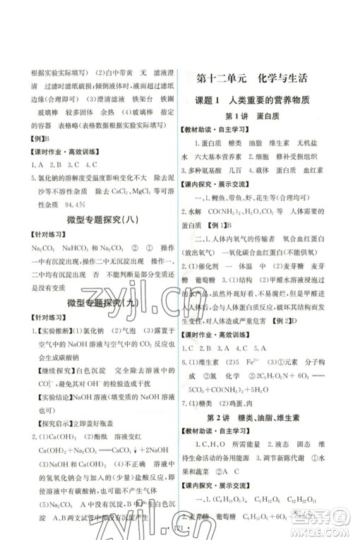 人民教育出版社2023能力培养与测试九年级化学下册人教版湖南专版参考答案