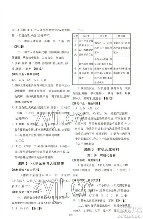 人民教育出版社2023能力培养与测试九年级化学下册人教版湖南专版参考答案
