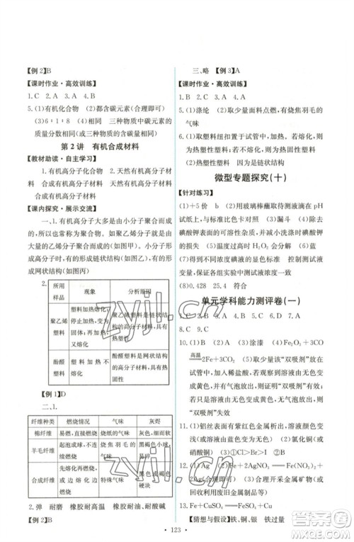 人民教育出版社2023能力培养与测试九年级化学下册人教版湖南专版参考答案