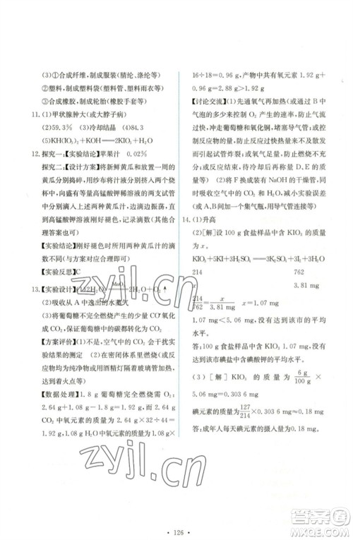 人民教育出版社2023能力培养与测试九年级化学下册人教版湖南专版参考答案
