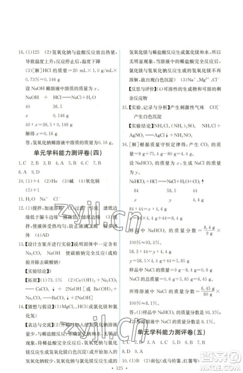 人民教育出版社2023能力培养与测试九年级化学下册人教版湖南专版参考答案