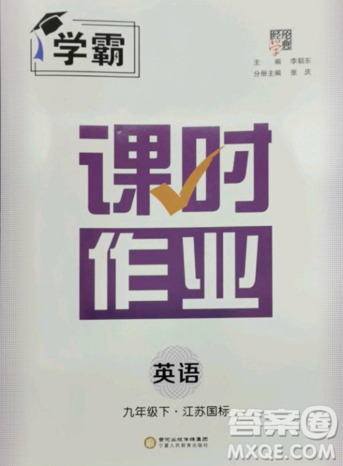 宁夏人民教育出版社2023经纶学典课时作业九年级下册英语江苏国标版答案