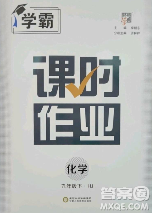 宁夏人民教育出版社2023经纶学典课时作业九年级下册化学沪教版答案