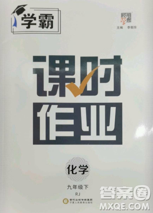 宁夏人民教育出版社2023经纶学典课时作业九年级下册化学人教版答案