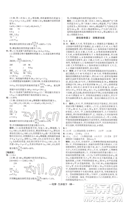 宁夏人民教育出版社2023经纶学典课时作业九年级下册化学人教版答案