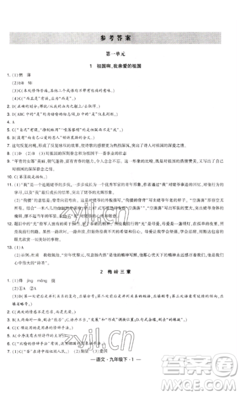 宁夏人民教育出版社2023经纶学典课时作业九年级下册语文人教版答案 宁夏人民教育出版社2023经纶学典课时作业九年级下册语文人教版答案