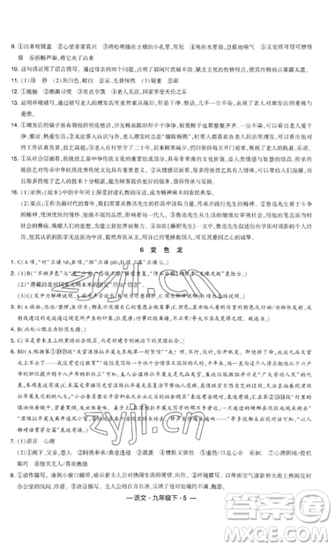 宁夏人民教育出版社2023经纶学典课时作业九年级下册语文人教版答案 宁夏人民教育出版社2023经纶学典课时作业九年级下册语文人教版答案