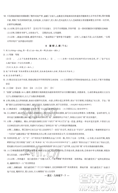 宁夏人民教育出版社2023经纶学典课时作业九年级下册语文人教版答案 宁夏人民教育出版社2023经纶学典课时作业九年级下册语文人教版答案