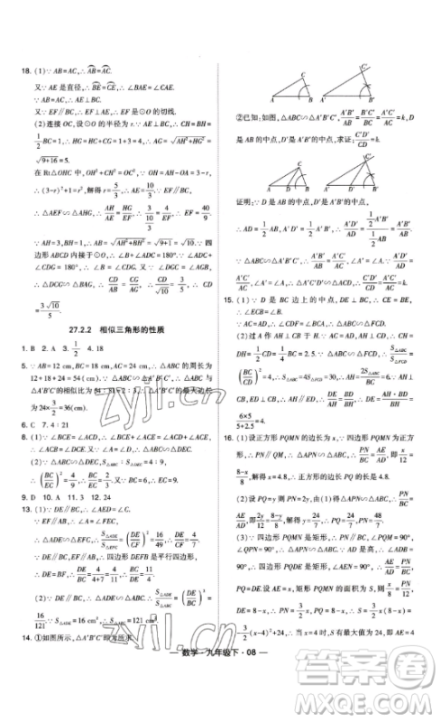 宁夏人民教育出版社2023经纶学典课时作业九年级下册数学人教版答案