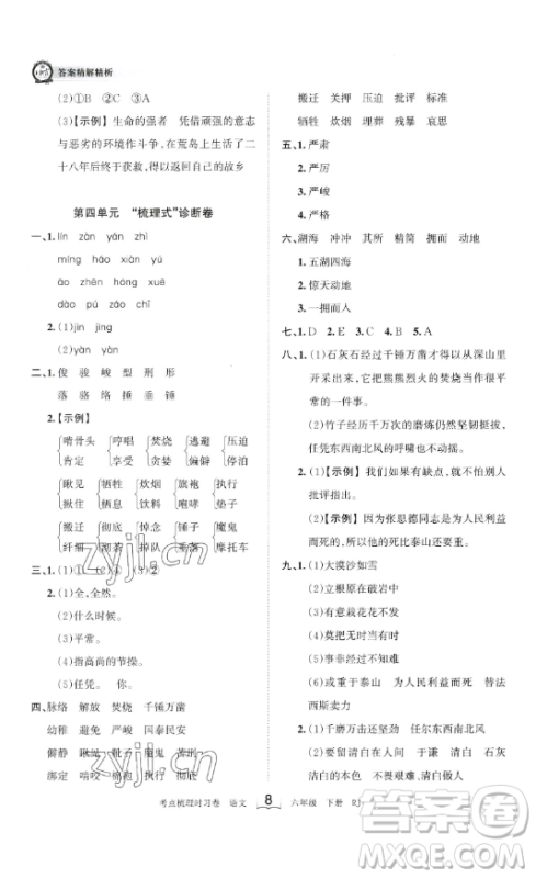 王朝霞考点梳理时习卷六年级下册语文人教版答案