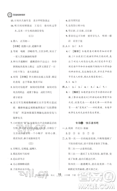 王朝霞考点梳理时习卷六年级下册语文人教版答案