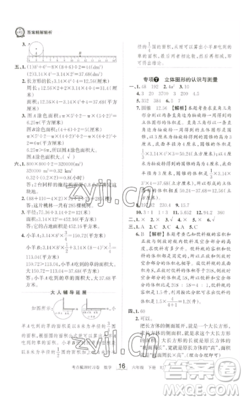 江西人民出版社2023王朝霞考点梳理时习卷六年级下册数学人教版答案