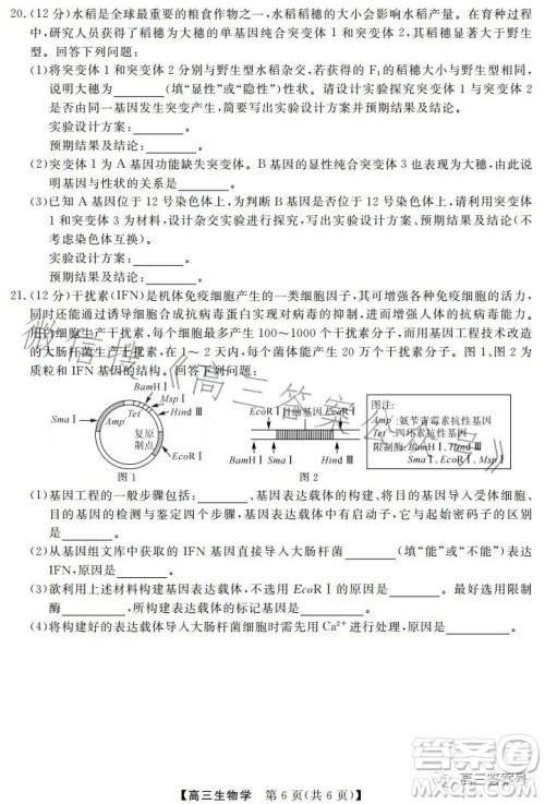 天壹名校联盟2023届高三2月质量检测生物学试卷答案 天壹名校联盟2023届高三2月质量检测生物学试卷答案
